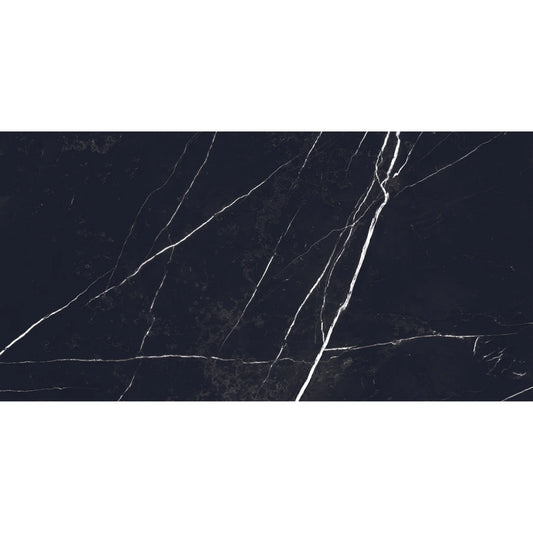 Superb Marquina Polished 60x120 wall and floor tile