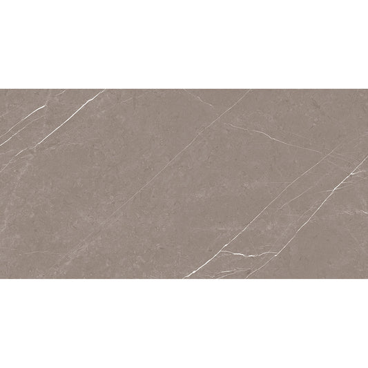 Canterbury 60x120 Grey Matt