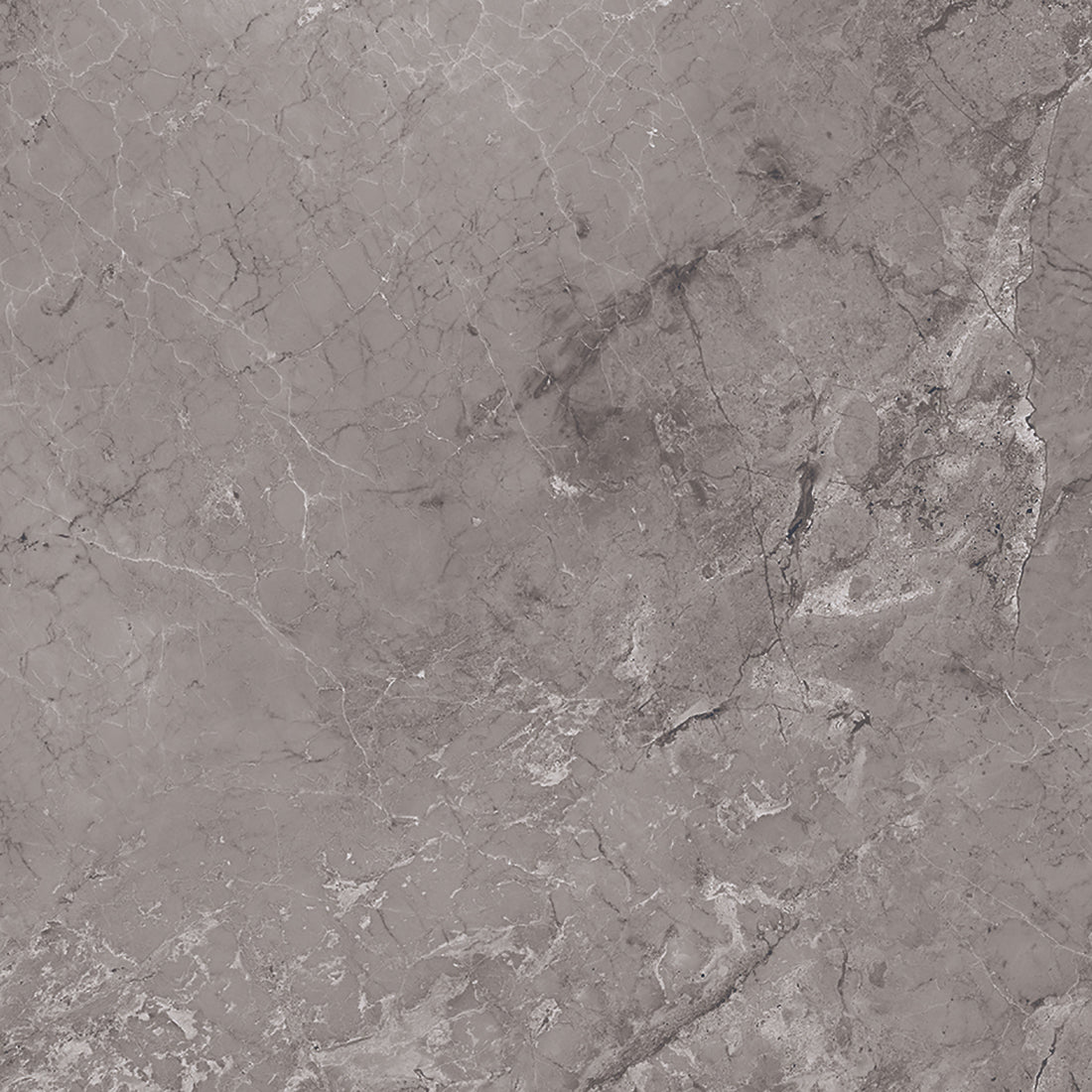 Castano 60x60 Gris Polished