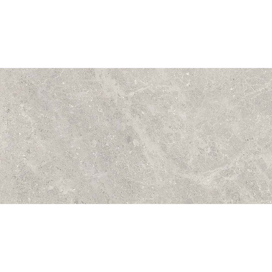 Fossil 30x60 Grey Polished