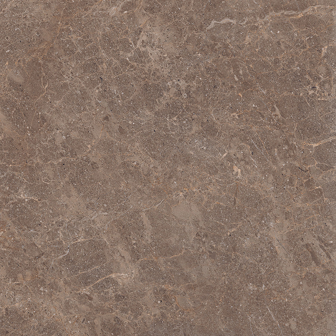 Fossil 60x60 Walnut Polished