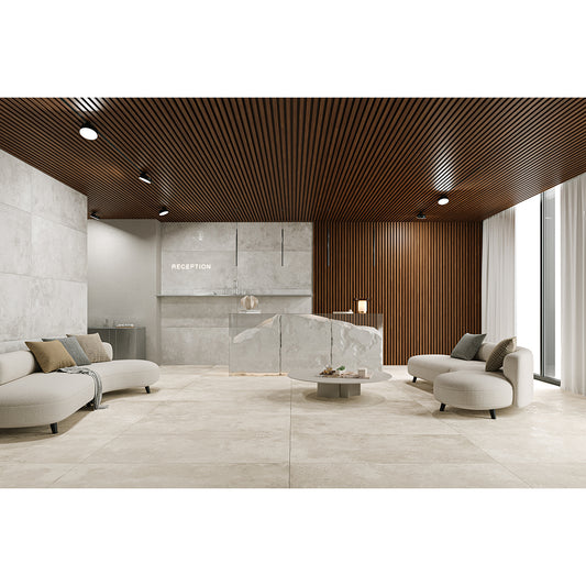 Illusion 60x120 Grey Matt Carving R9