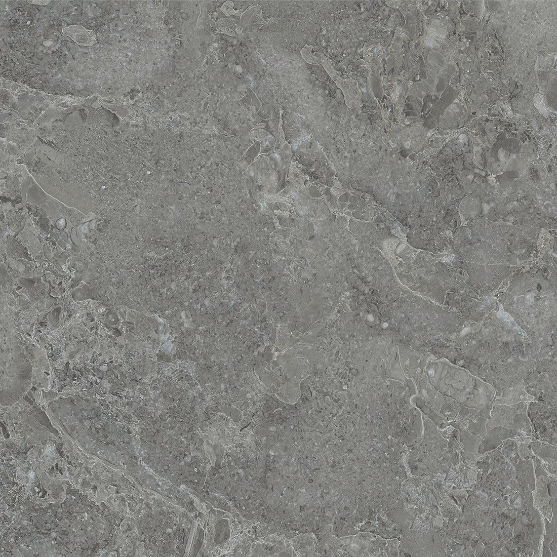 Ivy 60x60x2 Dark Grey Matt R11