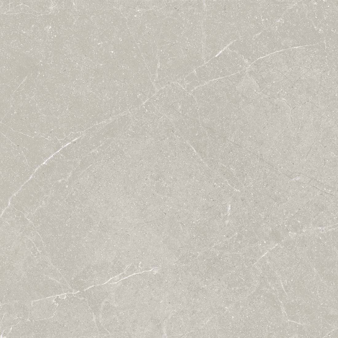 Livorno 60x60 Topo Matt