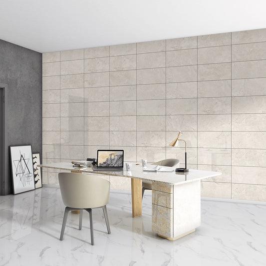 Platina 30x60 Dove Polished