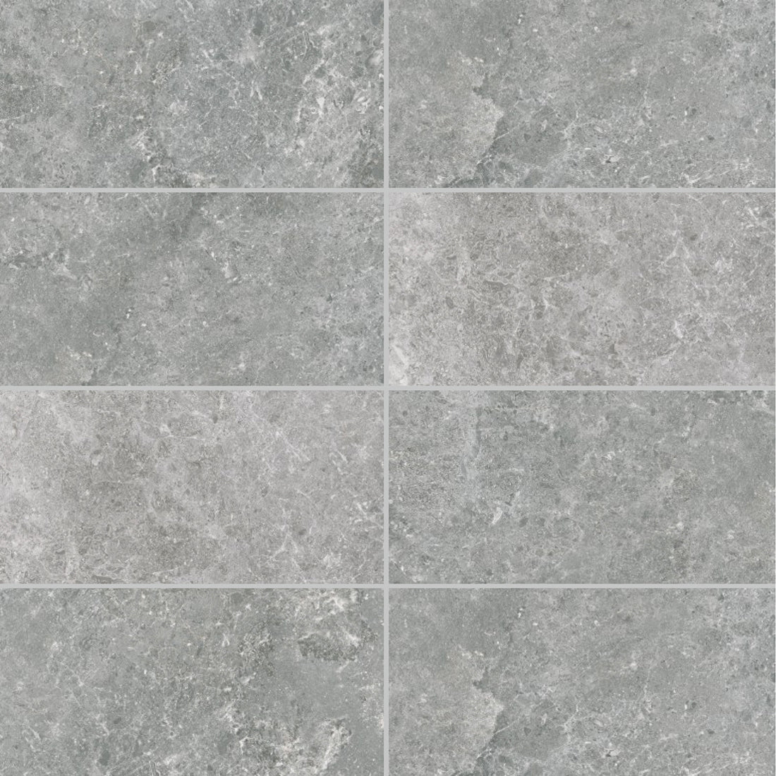Portland 30x60 Silver Matt R10