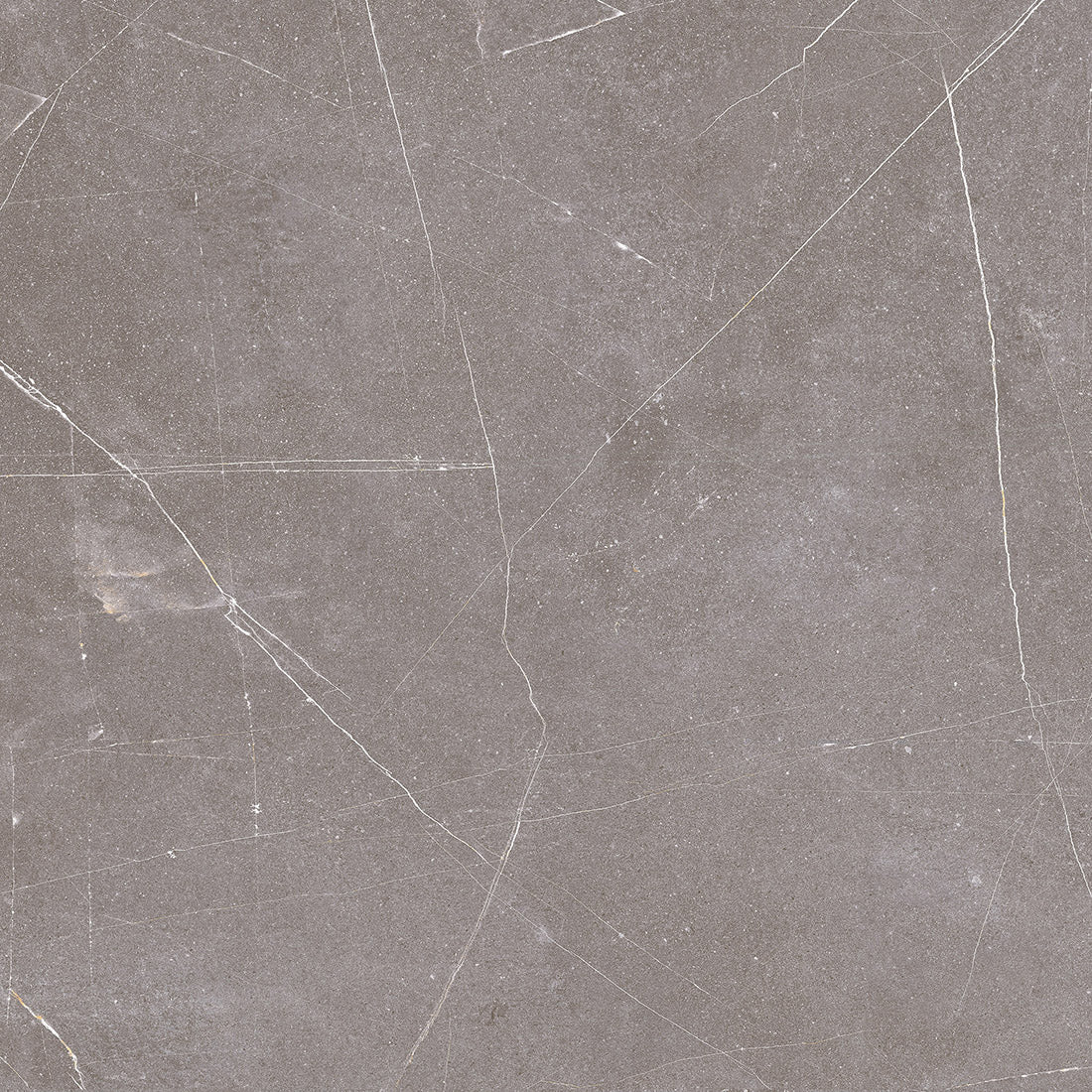Status 60x60 Gris Matt 🇪🇸