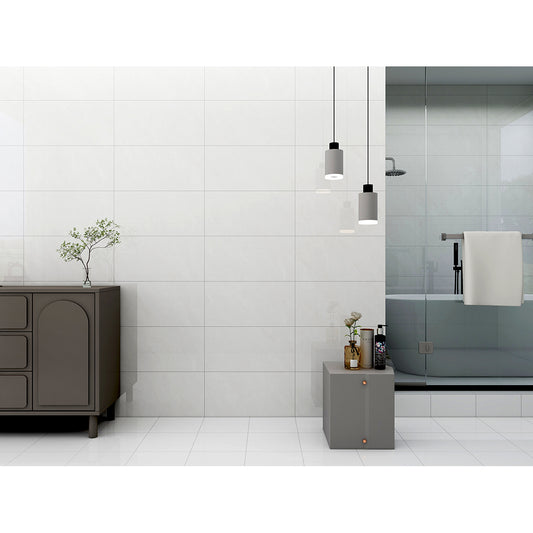 Zenith 30x60 Pearl Polished