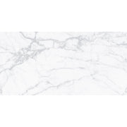 Alpi 60x120 White Polished