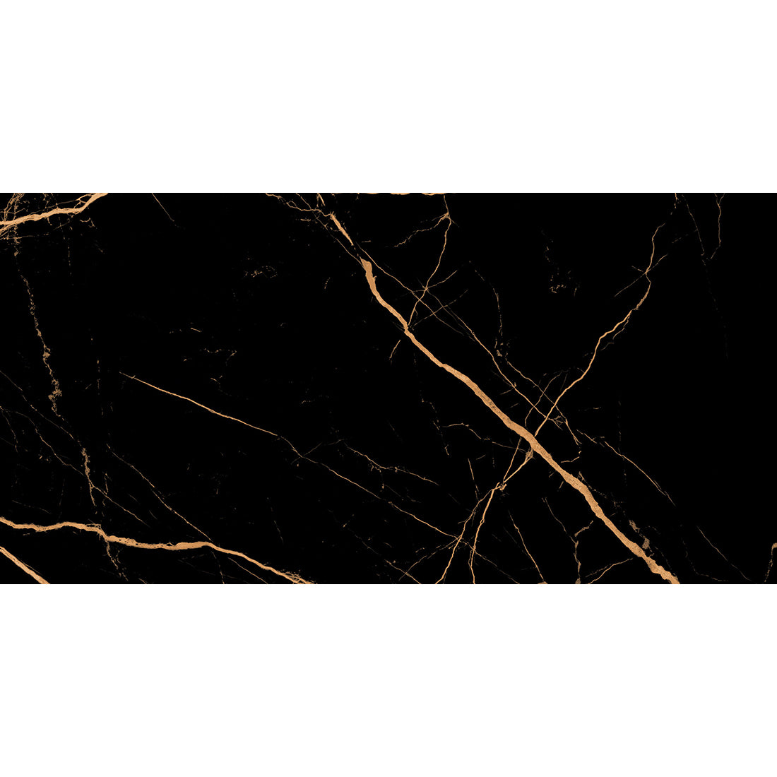 Atlantis Black 60x120 Gold Polished