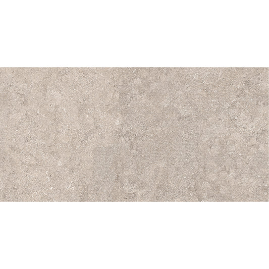 Belgium 60x120x2 Grey Matt R11