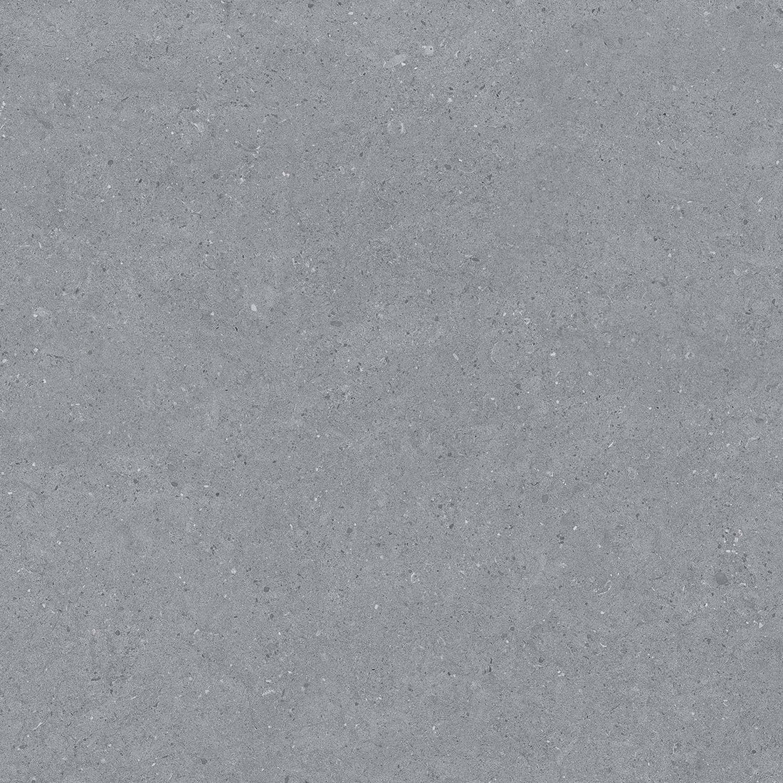 Earding 60x60 Anthracite Matt R9