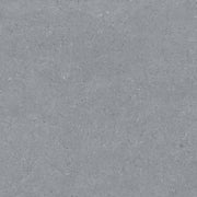 Earding 60x60 Anthracite Matt R9