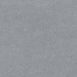 Earding 60x60 Anthracite Matt R9