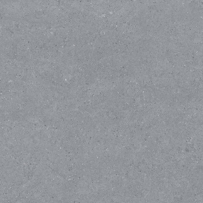 Earding 60x60 Anthracite Matt R9