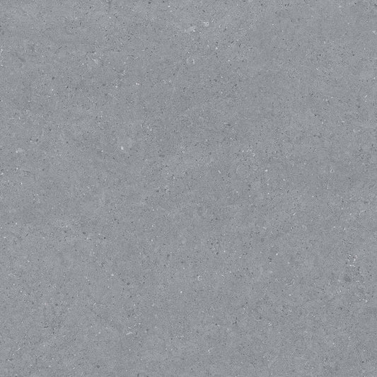 Earding 60x60 Anthracite Matt R9