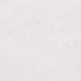 Earding 60x60 Bianco Matt R9