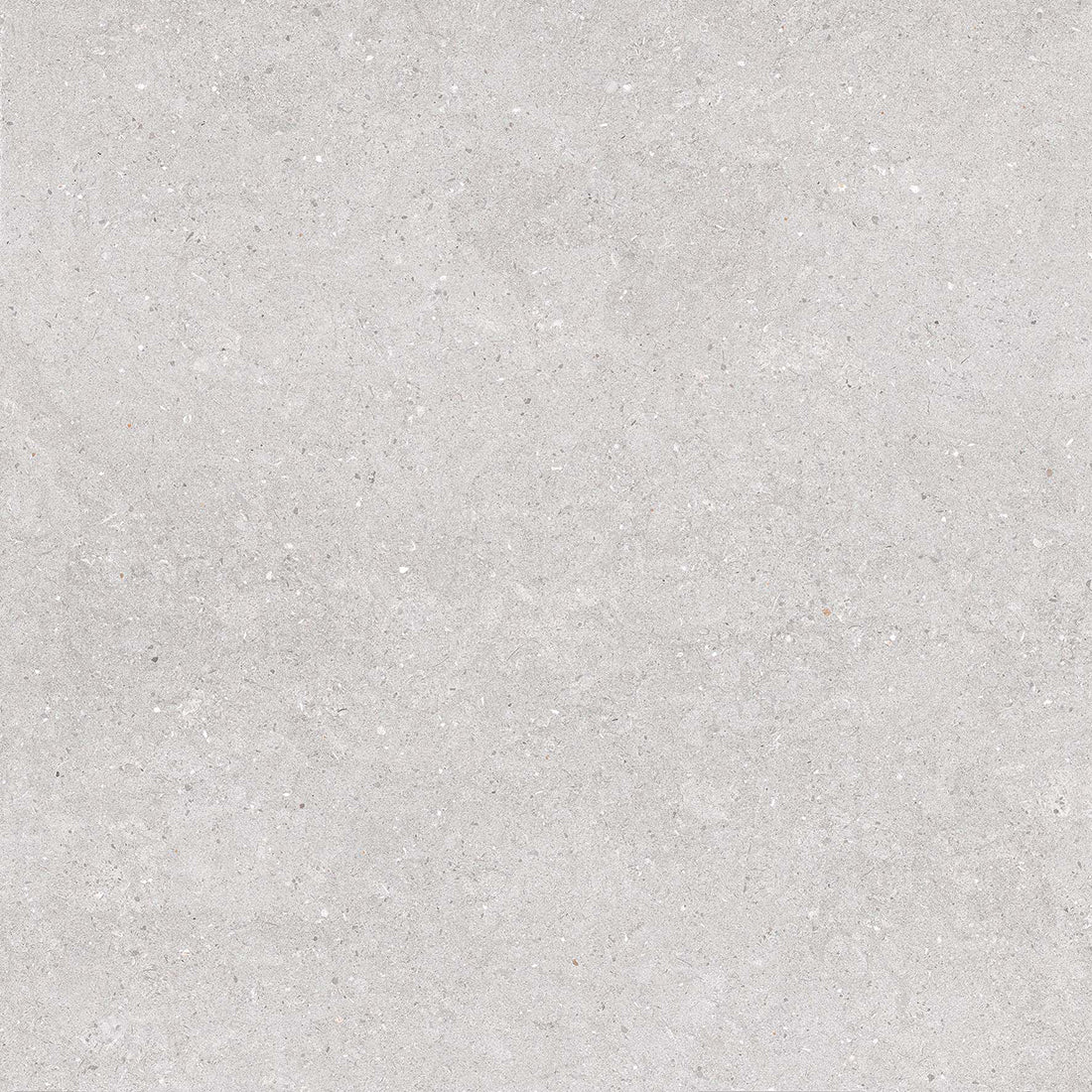 Earding 60x60 Grey Matt R9