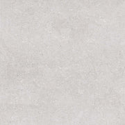 Earding 60x60 Grey Matt R9