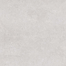 Earding 60x60 Grey Matt R9