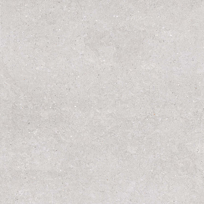 Earding 60x60 Grey Matt R9