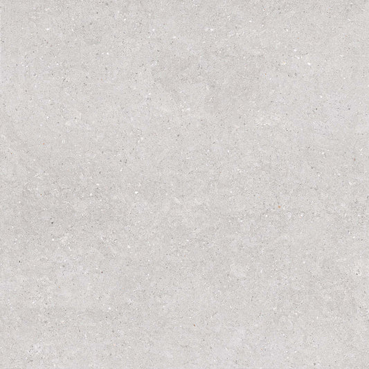 Earding 60x60 Grey Matt R9