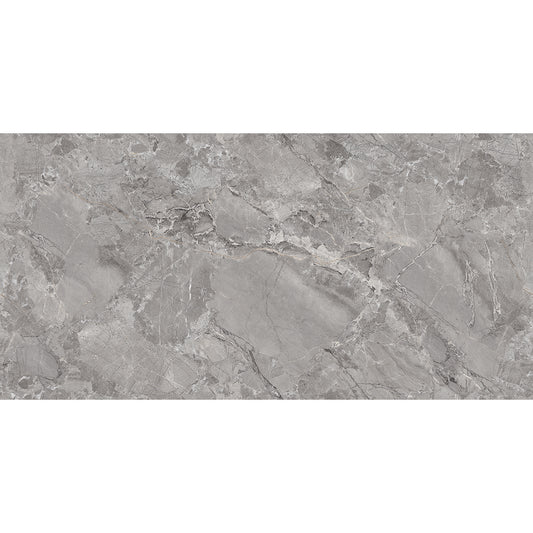 Endless Fonatana 60x120 Silver Matt Carving