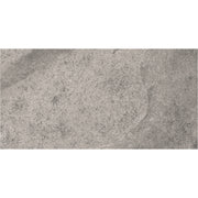 Esprit 30x60 Grey Polished