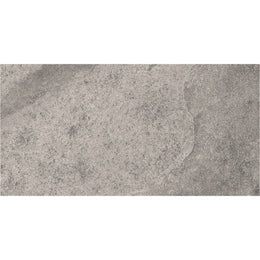 Esprit 30x60 Grey Polished