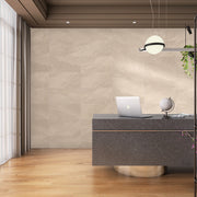 Esprit 30x60 Beige Matt R10