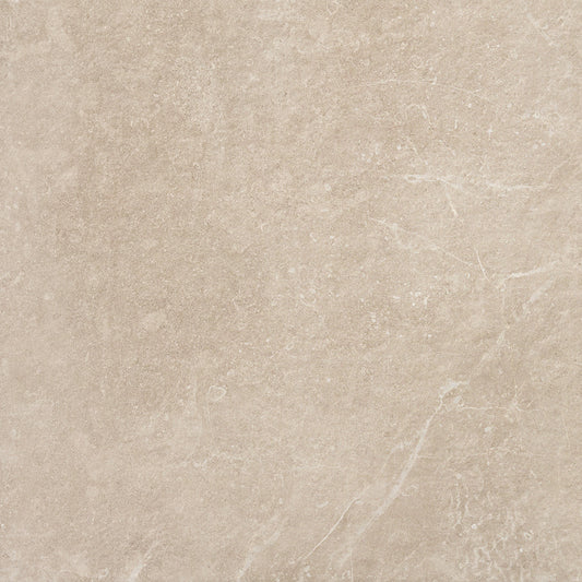 Eternal 60x60x2 Stone Matt R11