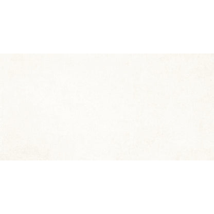 Everest 30x60 Blanco Matt R10