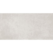 Everest 30x60 Grey Matt R10