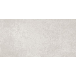 Everest 30x60 Grey Matt R10