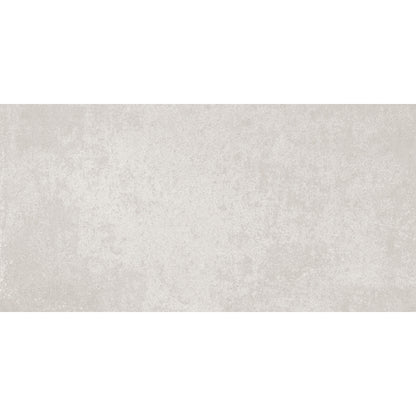 Everest 30x60 Grey Matt R10