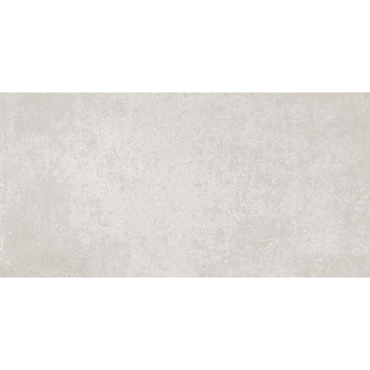 Everest 30x60 Grey Matt R10