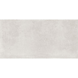 Everest 60x120 Silver Matt R10