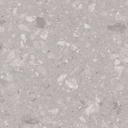 Fleck 60x60 Gris Matt