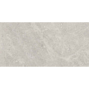 Fossil 30x60 Grey Polished