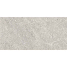 Fossil 30x60 Grey Polished