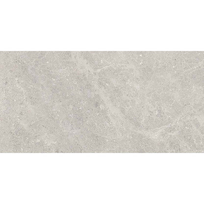 Fossil 30x60 Grey Polished