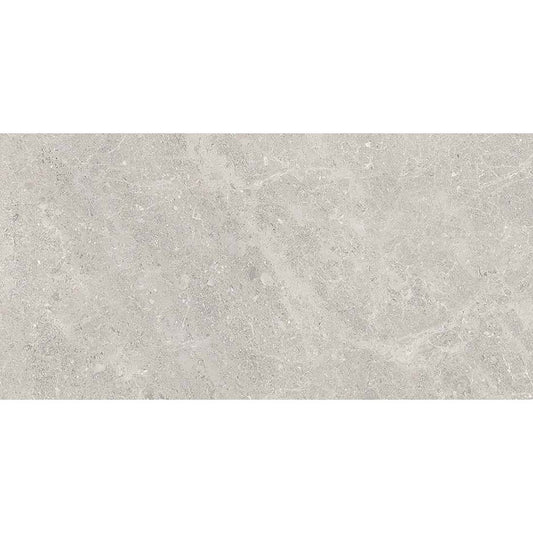 Fossil 30x60 Grey Polished