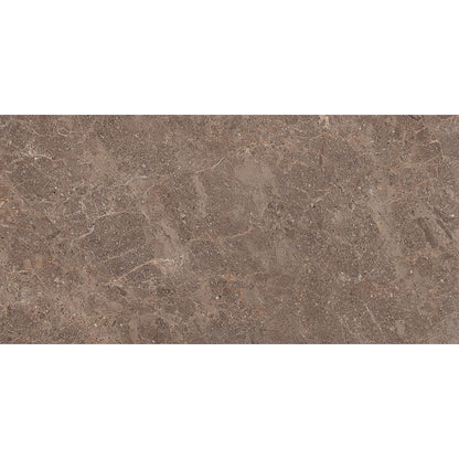 Fossil 30x60 Walnut Polished