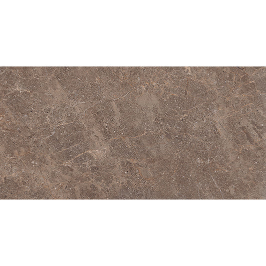Fossil 30x60 Walnut Polished