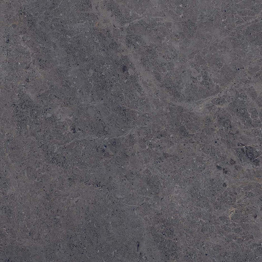Fossil 60x60 Anthracite Polished