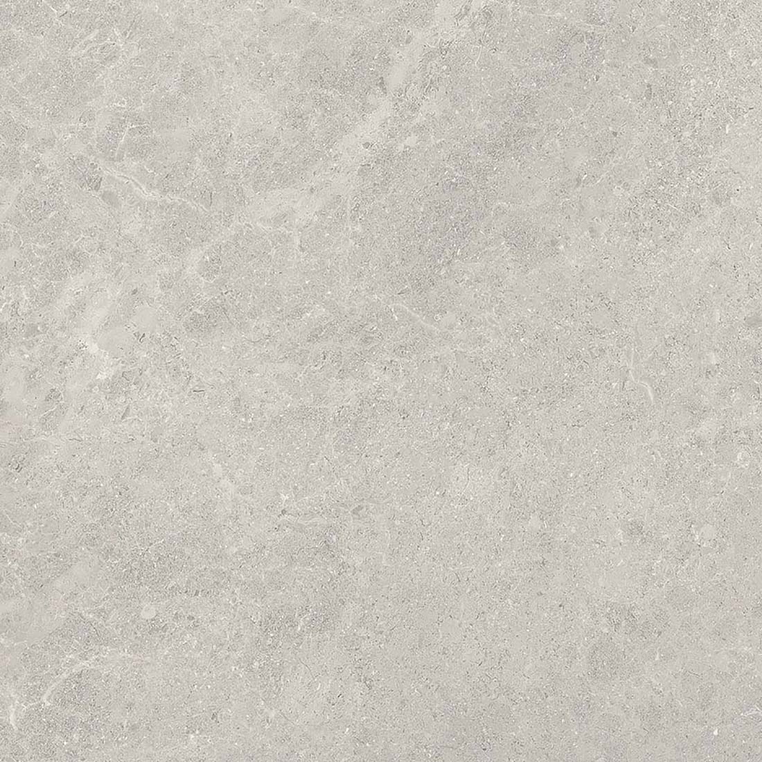 Fossil 60x60 Grey Polished