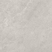 Fossil 60x60 Grey Polished