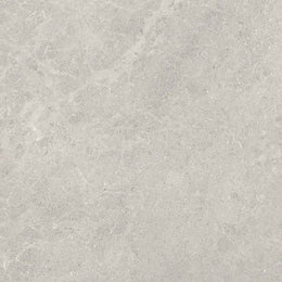 Fossil 60x60 Grey Polished