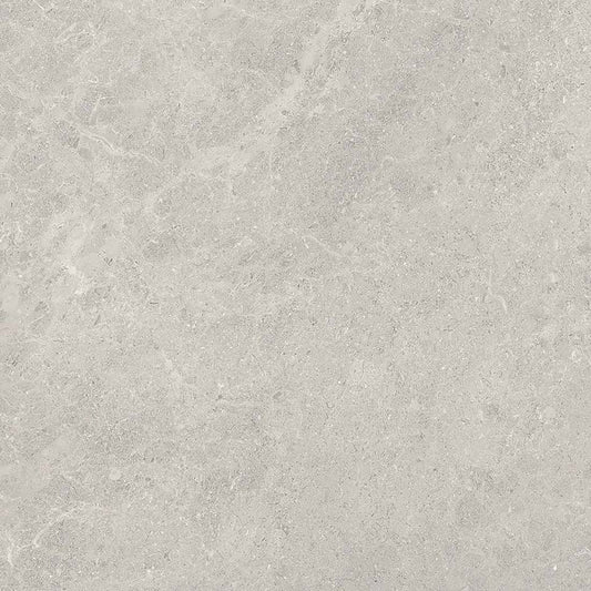Fossil 60x60 Grey Polished