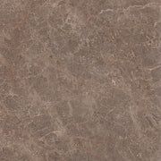Fossil 60x60 Walnut Polished